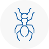 Ant Removals In Camborne