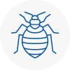 Bed Bug Extermination In Camborne