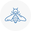 Bee Nest Removal Camborne