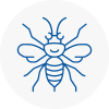 Camborne Hornet Nest Removals