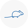 Mice Exterminators In Camborne