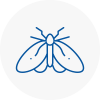 Moth Control Specialists In Camborne