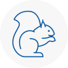 Camborne Rodent Removals